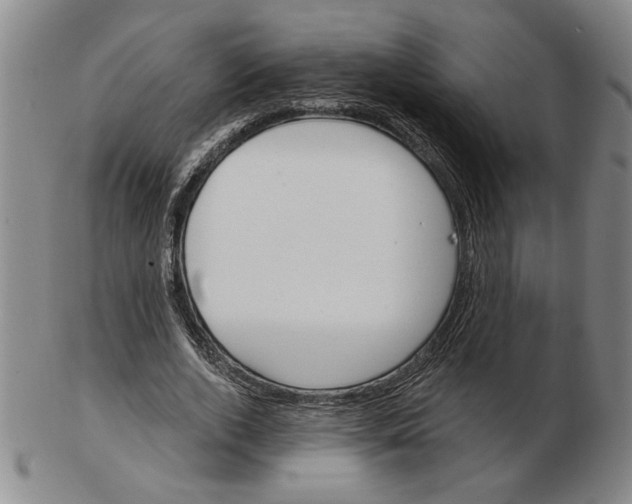 X0000102870728200809081205