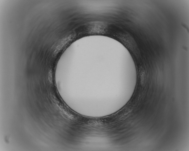 X0000102870729200809081205