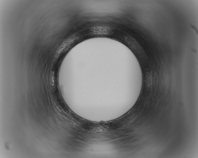 X0000102870731200809081205