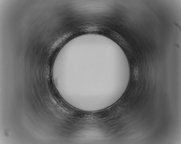 X0000102870732200809081205