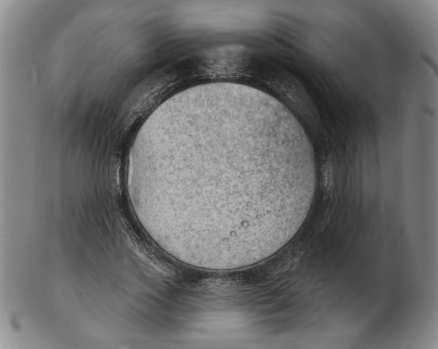 X0000102870733200809081205