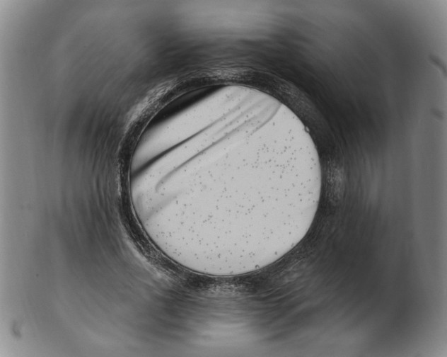 X0000102870734200809081205