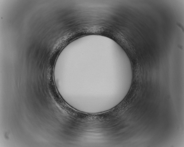 X0000102870736200809081205