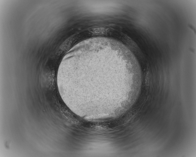 X0000102870737200809081205