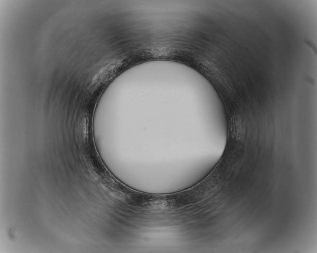 X0000102870740200809081205