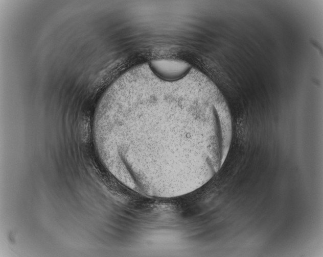 X0000102870741200809081205