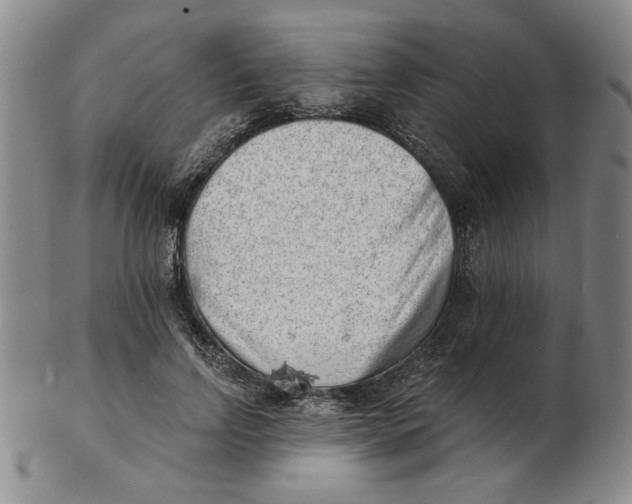 X0000102870742200809081205