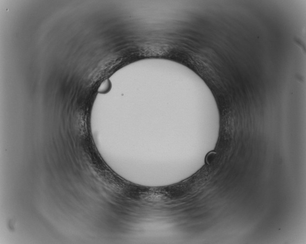 X0000102870743200809081205