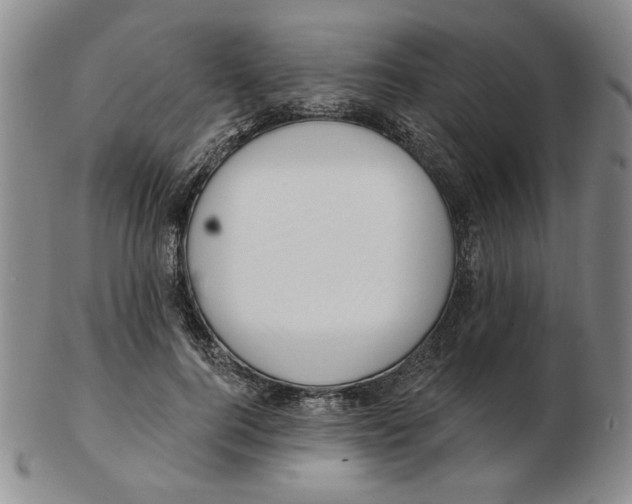 X0000102870744200809081205