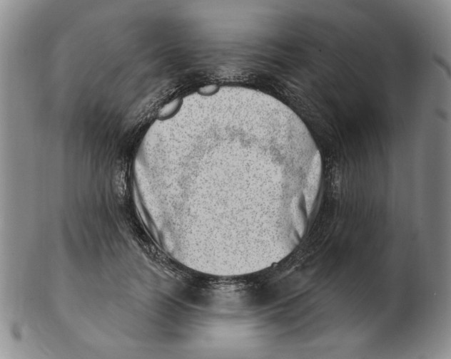 X0000102870746200809081205