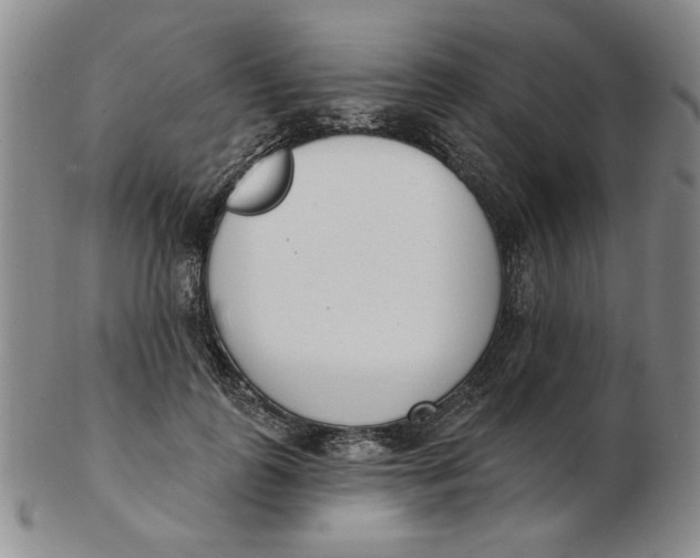 X0000102870747200809081205