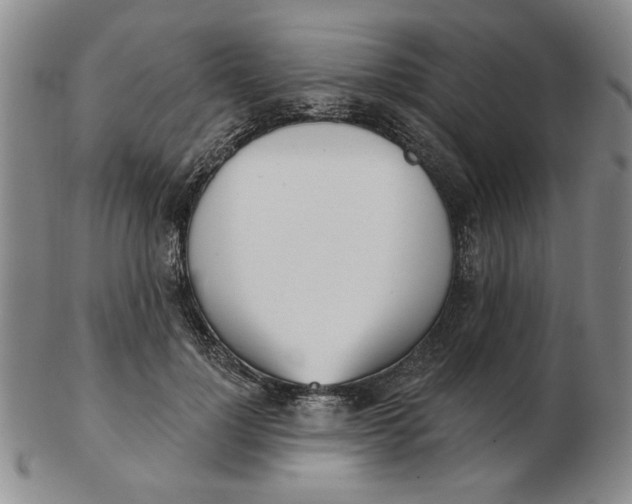 X0000102870748200809081205