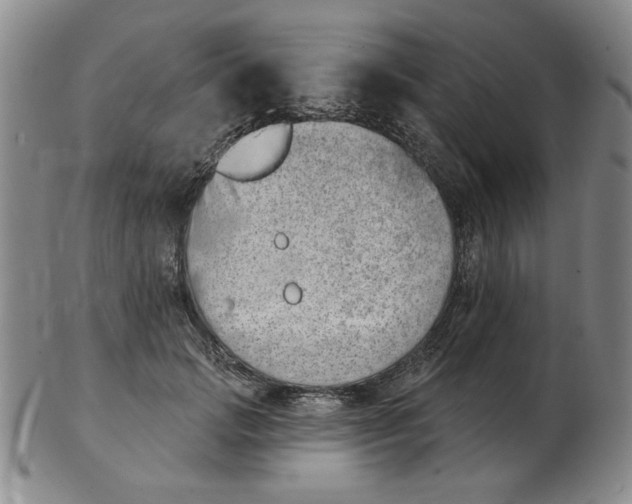 X0000102870749200809081205