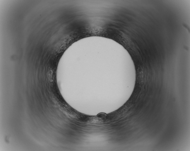 X0000102870750200809081205