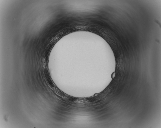 X0000102870752200809081205