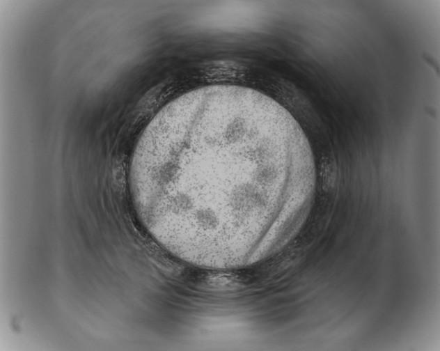 X0000102870753200809081205