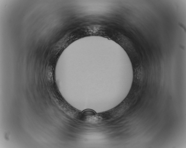 X0000102870754200809081205