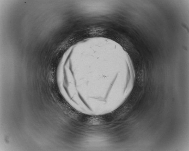 X0000102870755200809081205