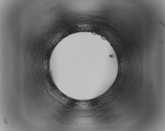 X0000102870756200809081205