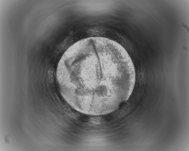 X0000102870757200809081205