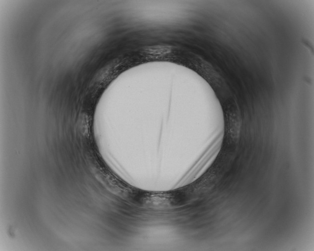 X0000102870758200809081205