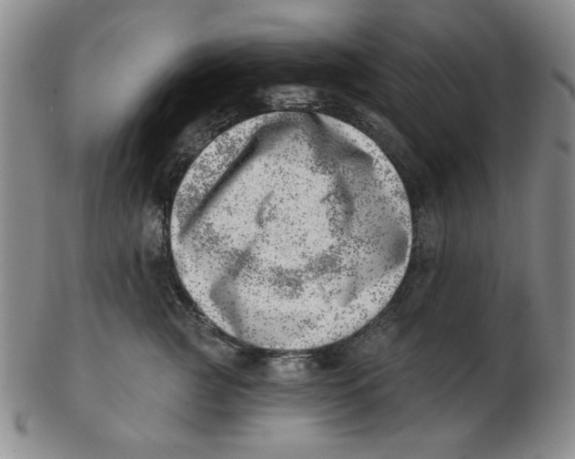 X0000102870761200809081205