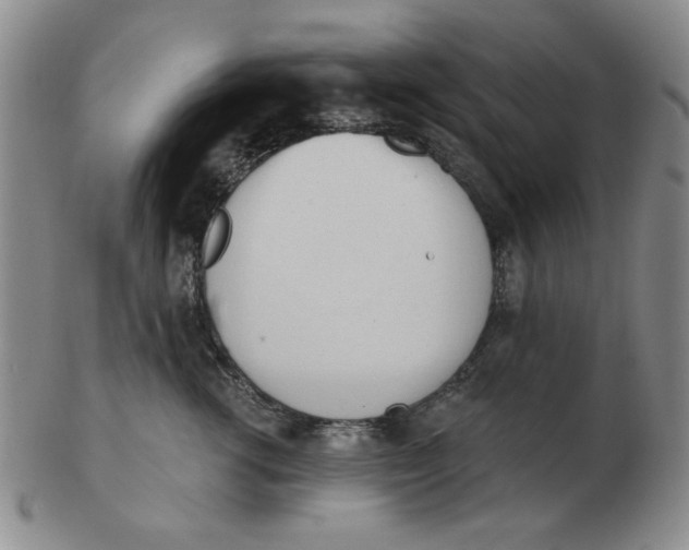 X0000102870762200809081205