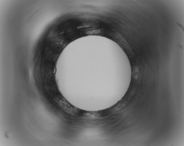 X0000102870763200809081205