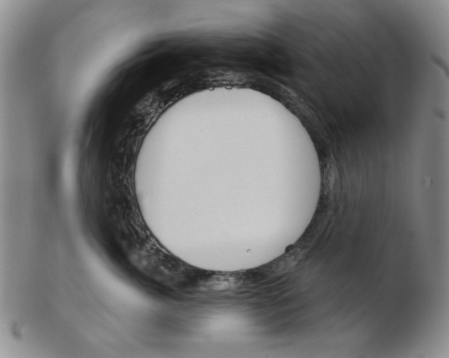 X0000102870764200809081205