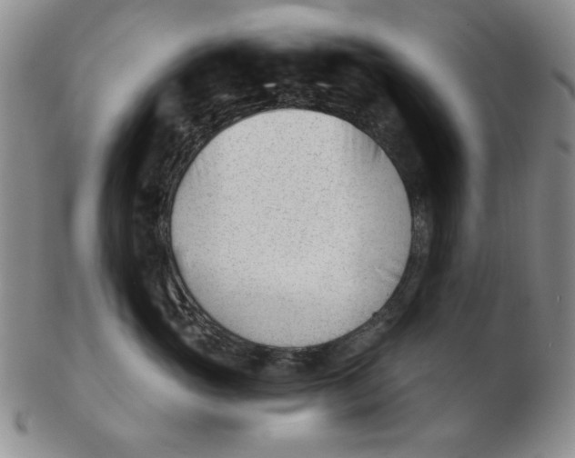 X0000102870765200809081205