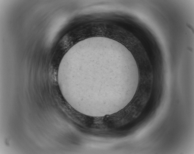 X0000102870766200809081206