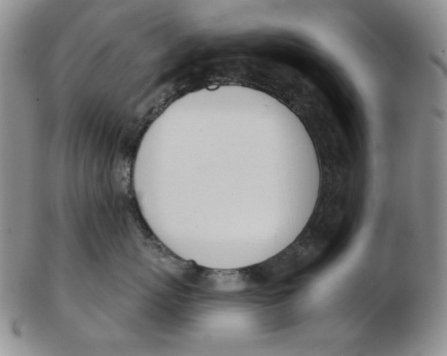 X0000102870767200809081206