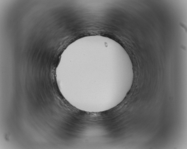 X0000102870768200809081206