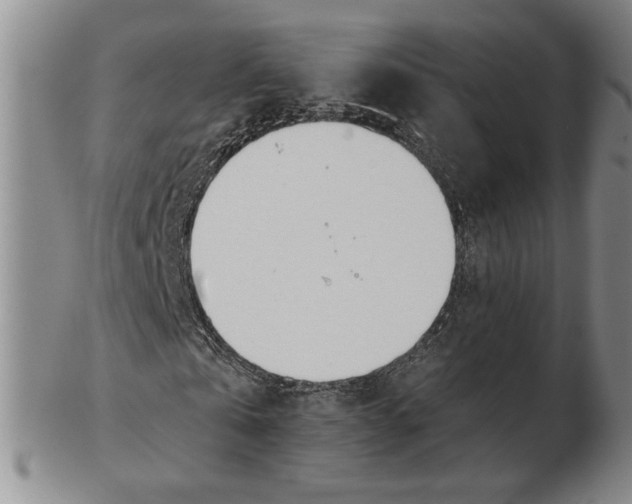 X0000102870769200809081205