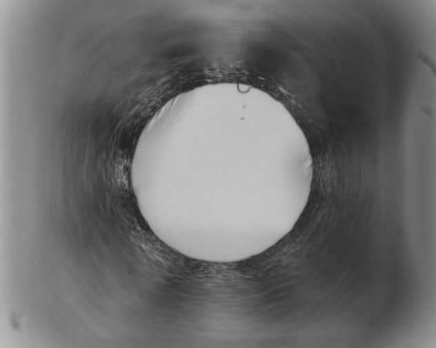 X0000102870770200809081205