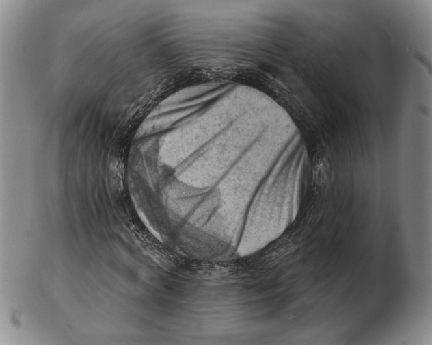 X0000102870772200809081205