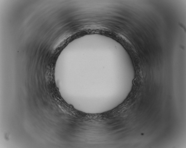 X0000102870775200809081205