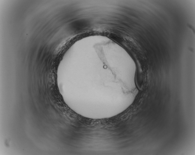 X0000102870776200809081205