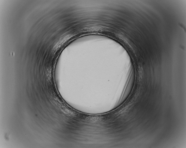 X0000102870778200809081205