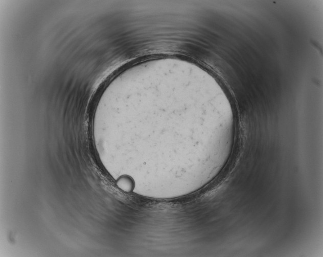 X0000102870779200809081205