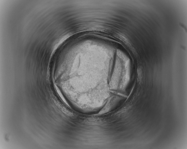 X0000102870780200809081205