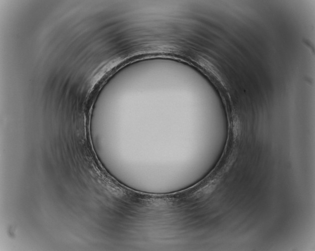 X0000102870781200809081205