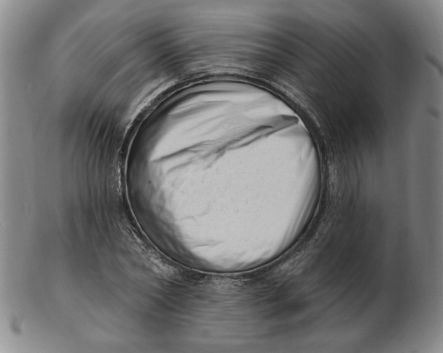 X0000102870782200809081205