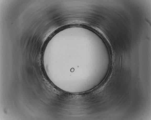 X0000102870783200809081205