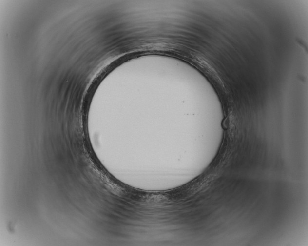 X0000102870784200809081205