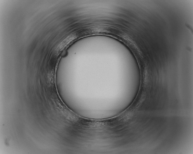 X0000102870785200809081205