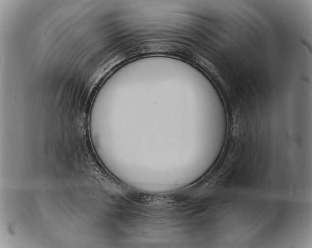 X0000102870786200809081205