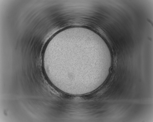 X0000102870787200809081205