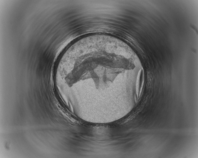 X0000102870788200809081205