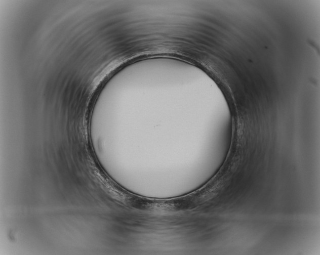 X0000102870789200809081205